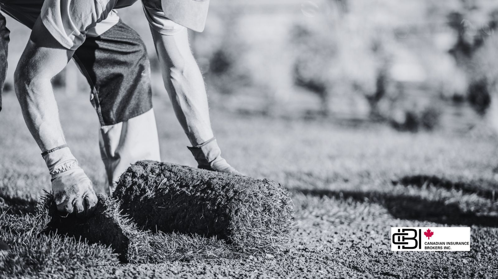 Landscaping maintenance work creates liability exposure for lawn care contractors in Oakville