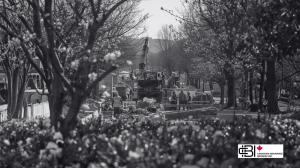 How Spring Construction Can Affect Your Home and Auto Insurance in Oakville